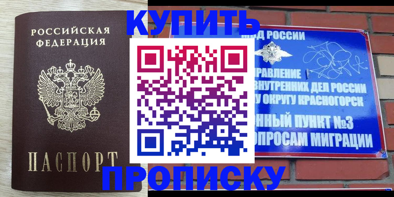 прописка гарантия в Луге